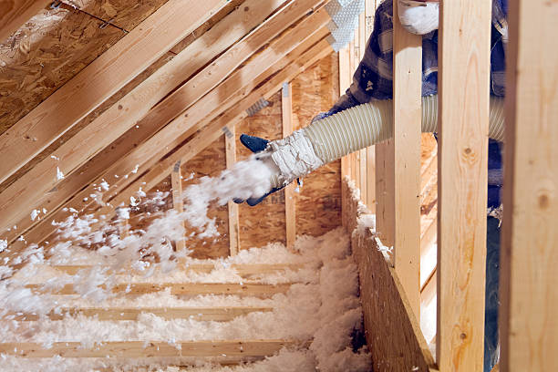 Types of Insulation We Offer in Friona, TX